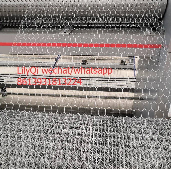 hexagonal chicken wire mesh/Galvanized Stucco Wire Netting 20 gauge