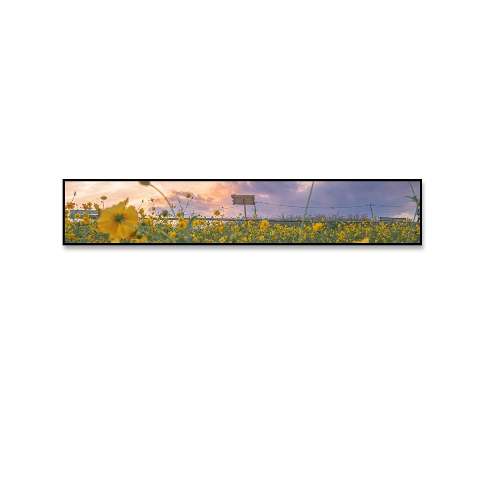 24 Inch Stretched Bar LCD Display 1920*360 Resolution Brand New Stretch Band for Digital Signage and Displays