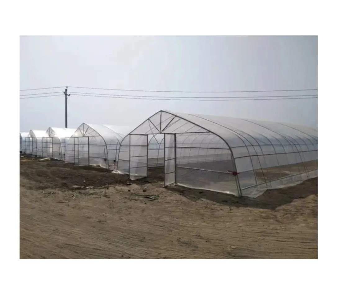 Factory Direct Sale Large Single Tunnel Greenhouse Fruit Planting Single Channel Agricultural PE Film Cover Stable Plastic Film