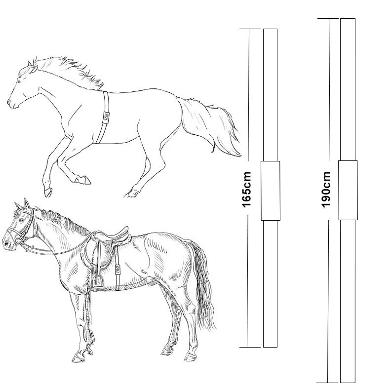 Custom Logo Heart Rate Strap Adjustable Horse Heart Rate Belt Work With Popular HR Monitors