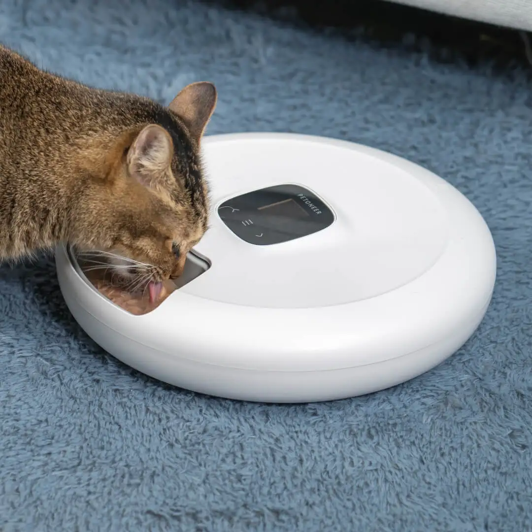 Six Meals Pet Feeder Hot Selling Pet Supplies Cat Treat Food Dispenser LED Display USB Type-C Support Batteries as Backup