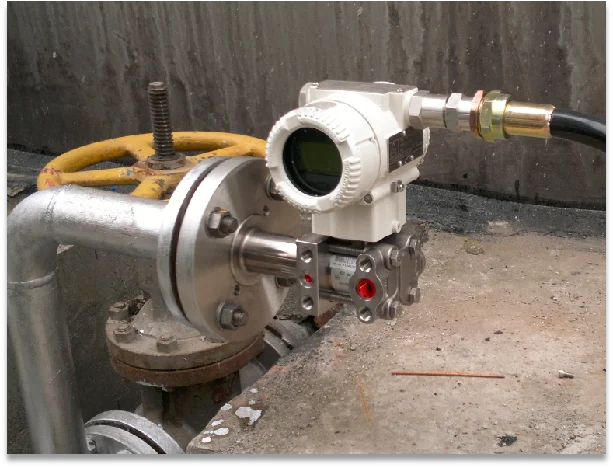 Remote Differential Pressure Level transmitter SS316L Diaphragm Silicone oil Pressure Sensor High Accuracy.