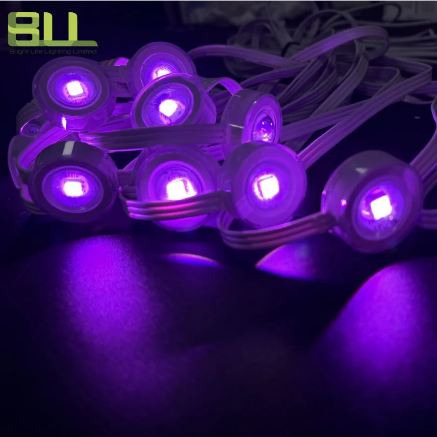 EAVES LIGHT IP65 RGB permanent outdoor light with Plug-in power supply for outdoor indoor decorative lights