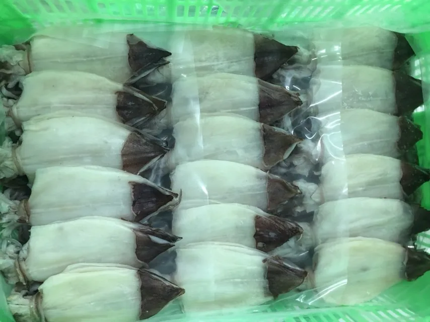 
Dried Squid skinless 