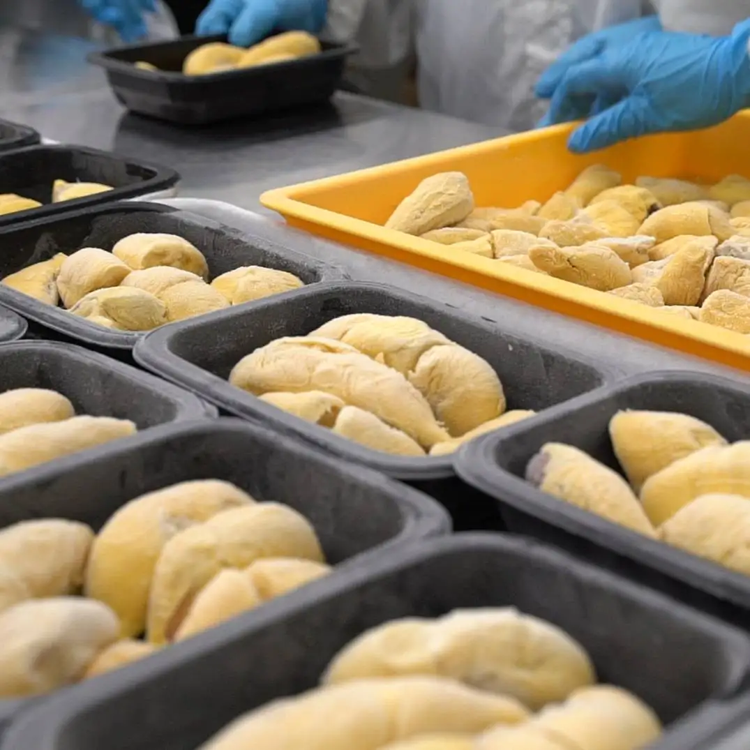 Malaysia XO Durian D24 Frozen Pulp | Newleaf Best Selling Sultan King Premium Grade Frozen Durian Seed Pulp