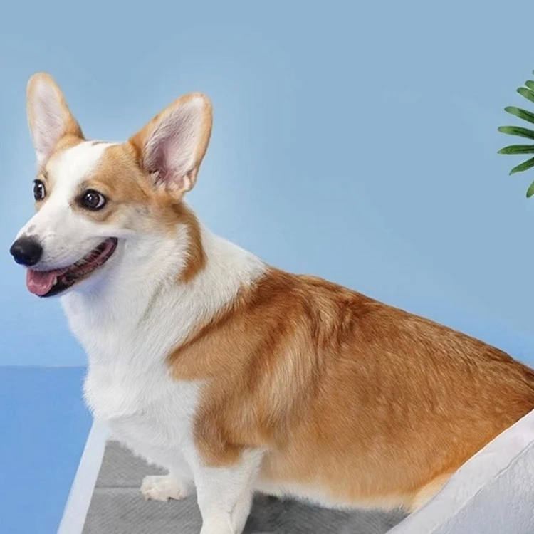 winning products 2024 new design china factory wholesale high quality pet products puppy potty training pee pads