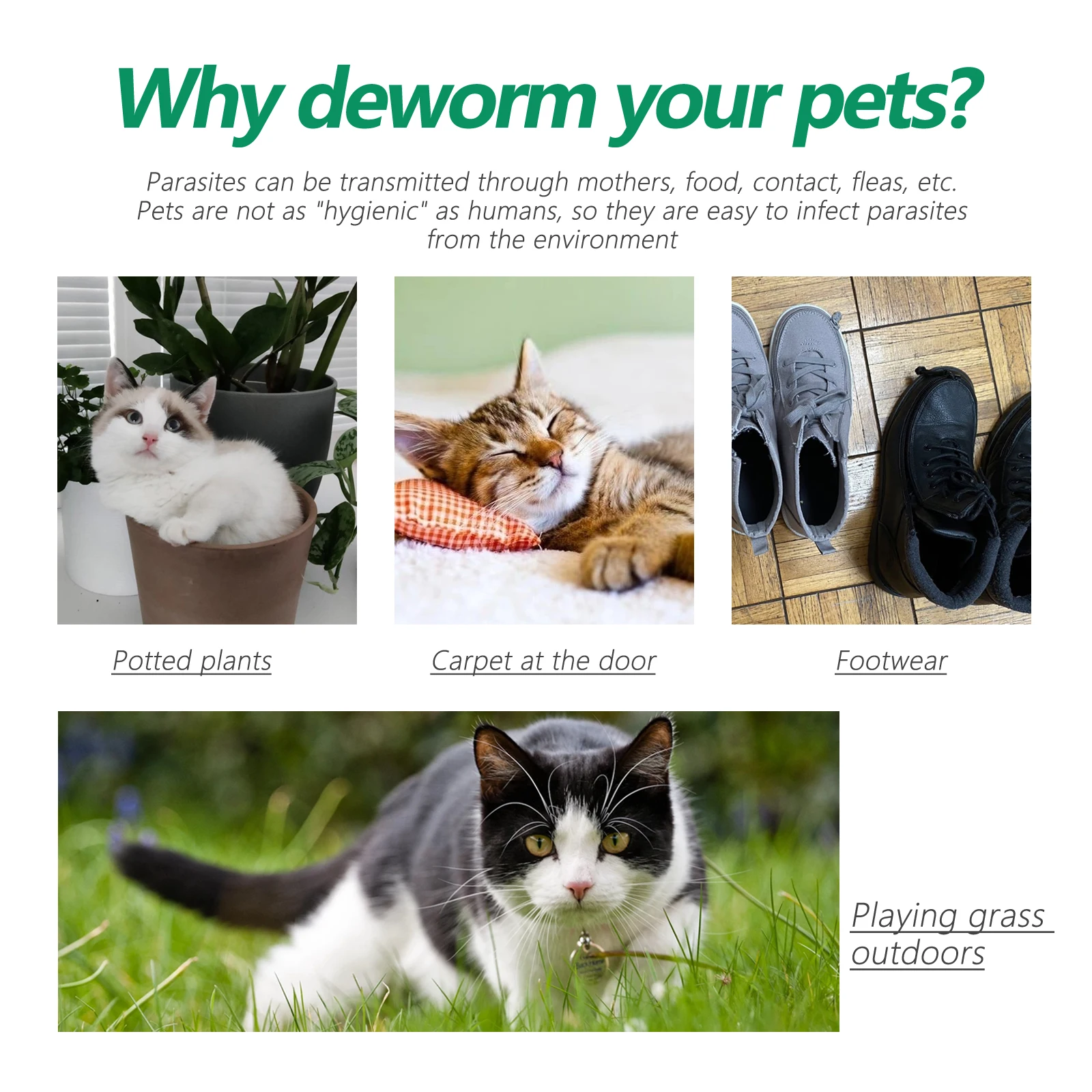 Yegbong OEMODM Insect Repeller Gentle Formula Cat Insect Repellent Non-harmful Ring Pet Insect Repellent