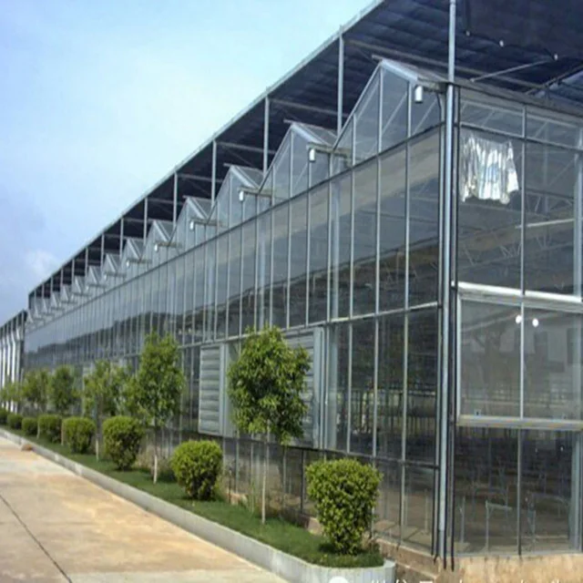 Multi-span Greenhouses Green Houses Agriculture Commercial Greenhouse Frame