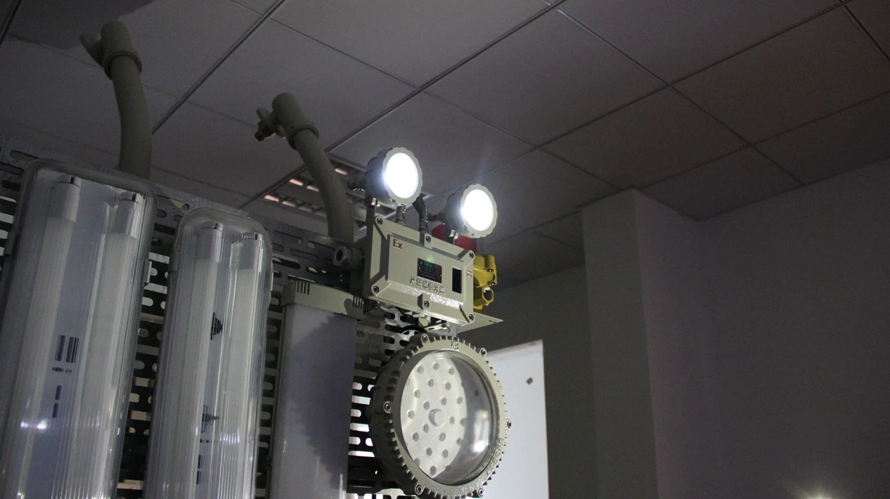 IP66 Two Spot Explosion-proof LED Emergency Lamp Led Double-head Exit Light Explosion-proof EXIT Light