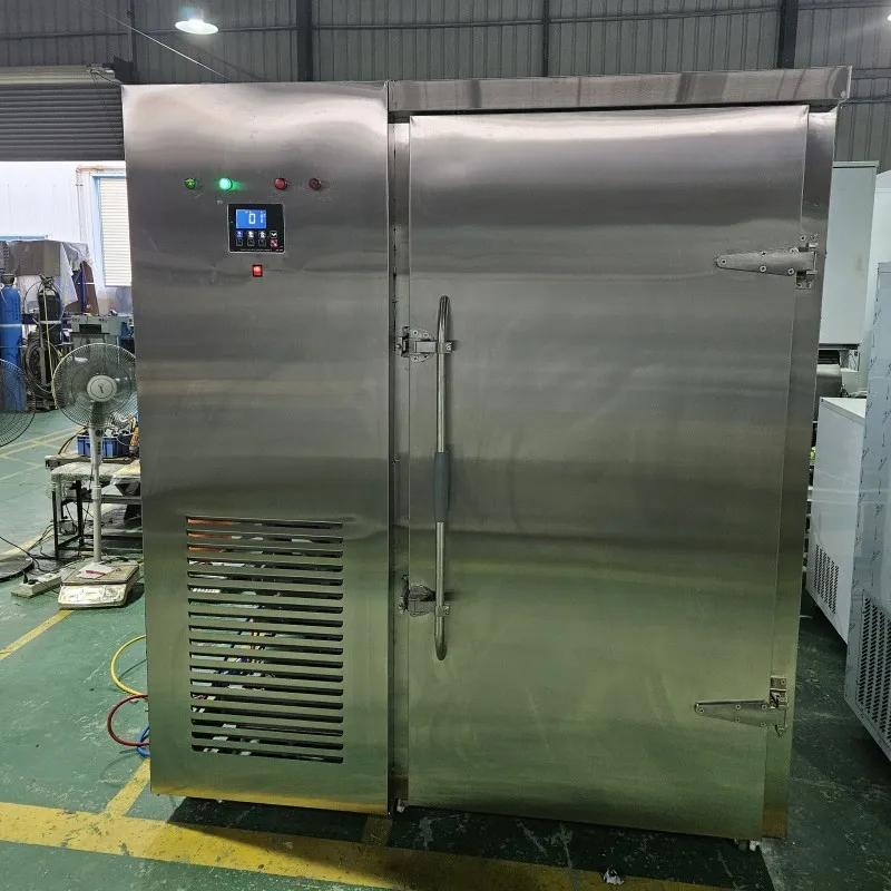 Single Temperature 200Kg/H Customized Iqf Tunnel Freezer/Industrial Iqf Blast Freezer For Fish/Shrimp/Seafood With CE