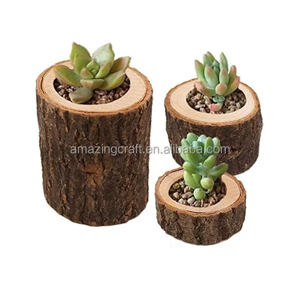 Original Natural Wood Flower Pot Indoor Planter Trunk Stump Vase
