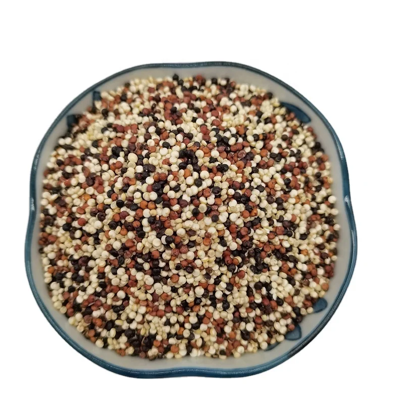 
Organic Royal Quinoa High Protein 3 Color Quinoa From Chinese Top Suppliers 