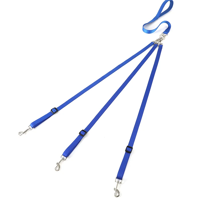Multifunctional Walking 3 Nylon webbing Logo High quality Royal blue Multi Slip lead Leashes Collars Dogs Collar Set Dog leash (1600248569524)