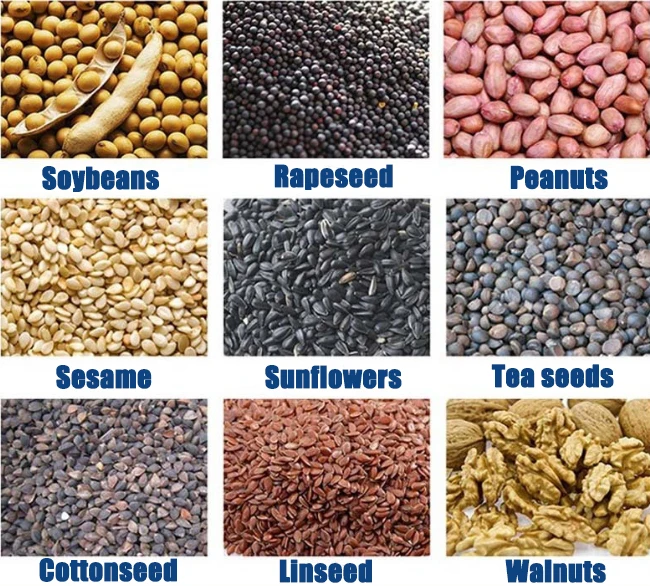 Fully automatic spiral oil pressers peanut sesame Walnut oil pressers press