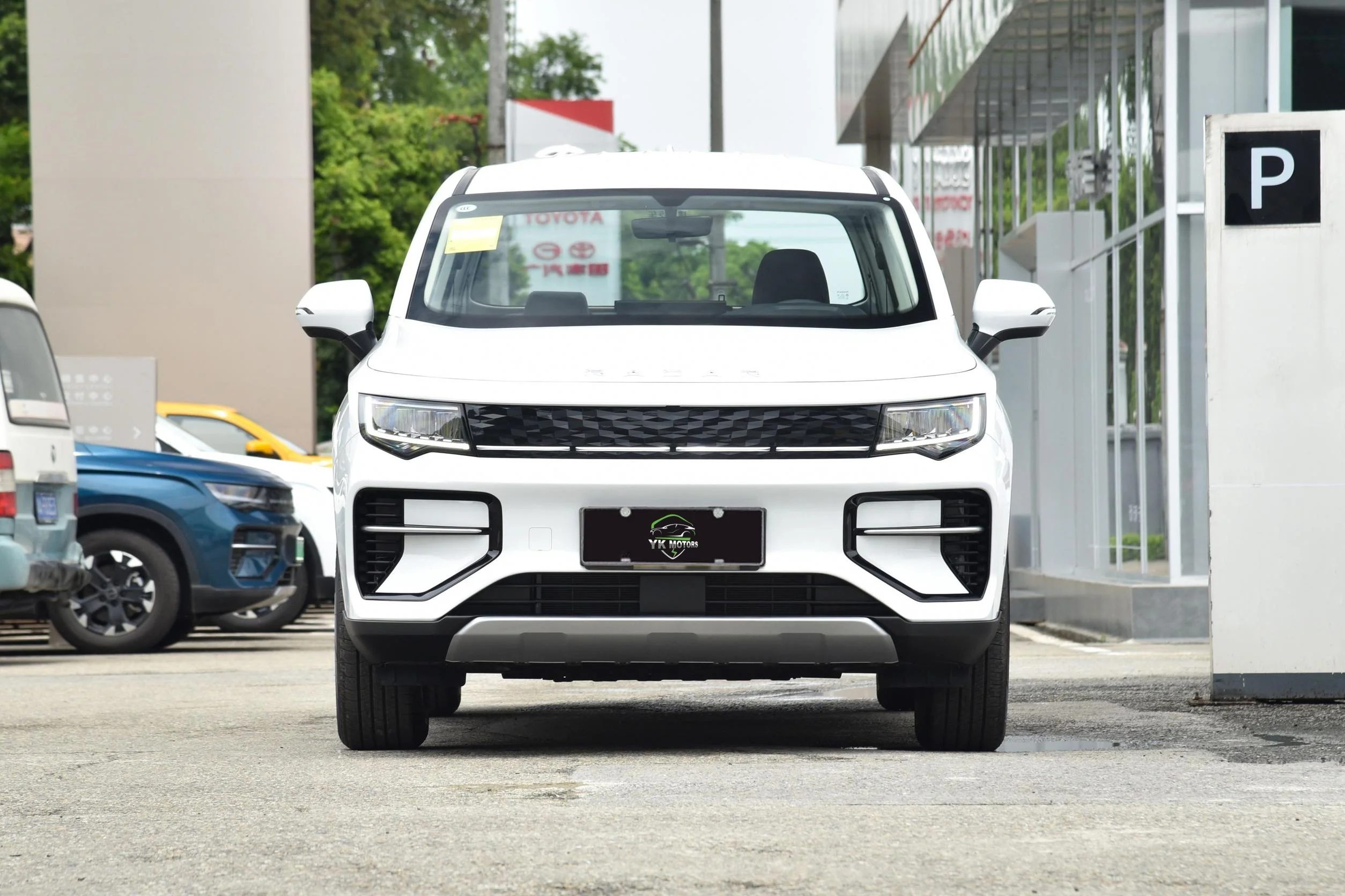 Geely Radar Auto RD6 400S New Energy Pickup Truck 400Km Pure Battery Range Electric Pickup EV Truck Made IN China