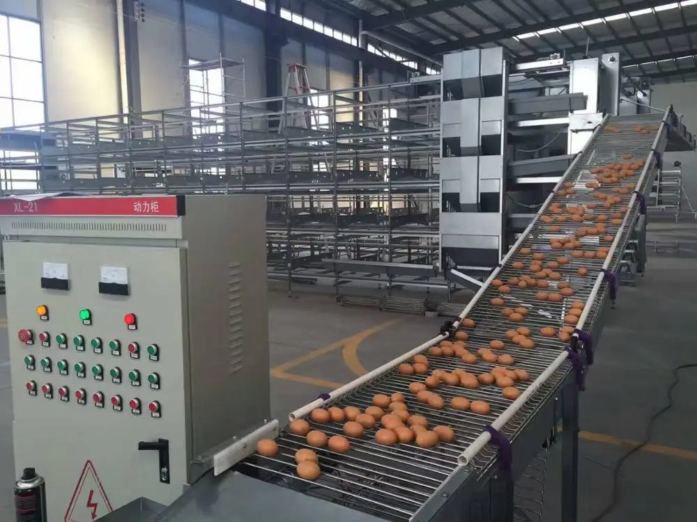 Hot  Production Automatic Poultry Farm Cage for Layer\/hen\/egg Chicken