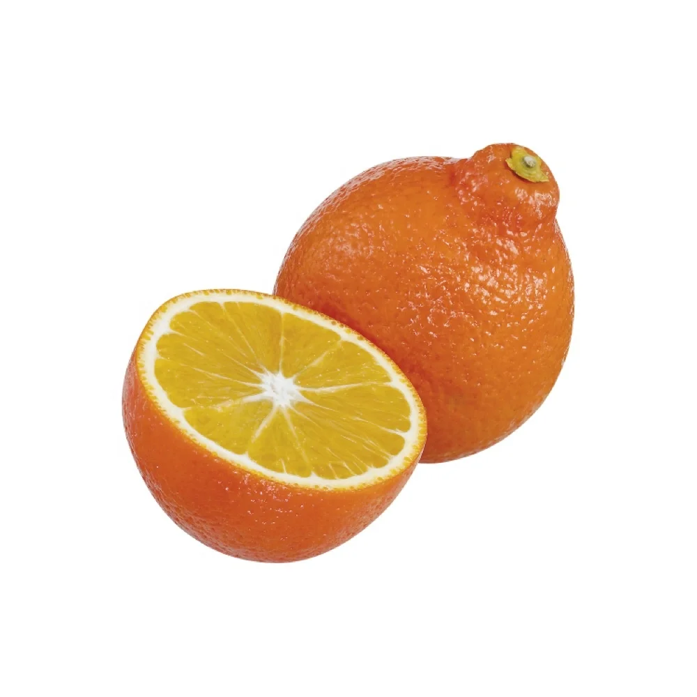 fresh Navel Valencia oranges Fresh Citrus