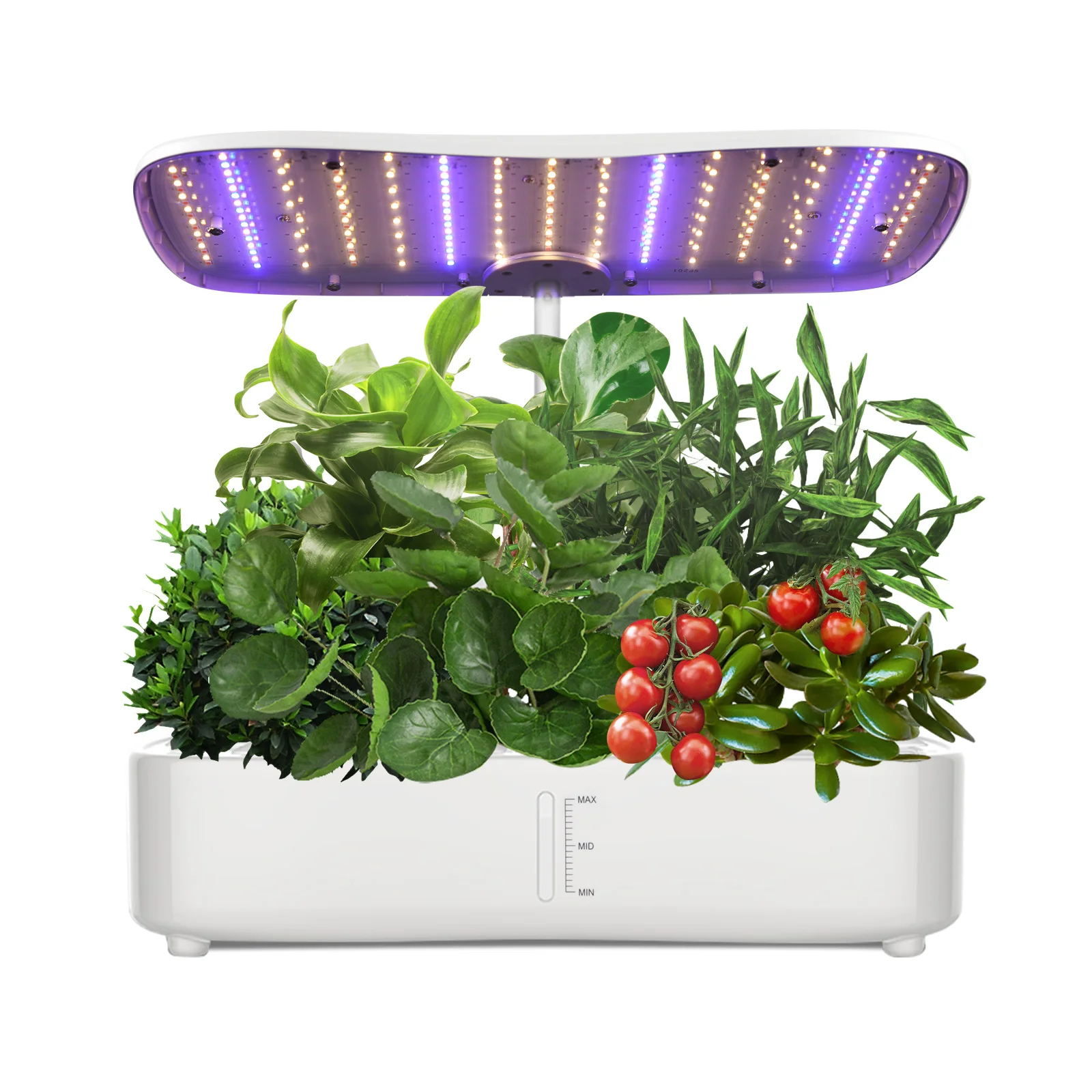 Hydroponic Growing Systems Microgreen Smart Indoor Herb Garden Planter Kit 24w Automatic Growing System with Led plant light