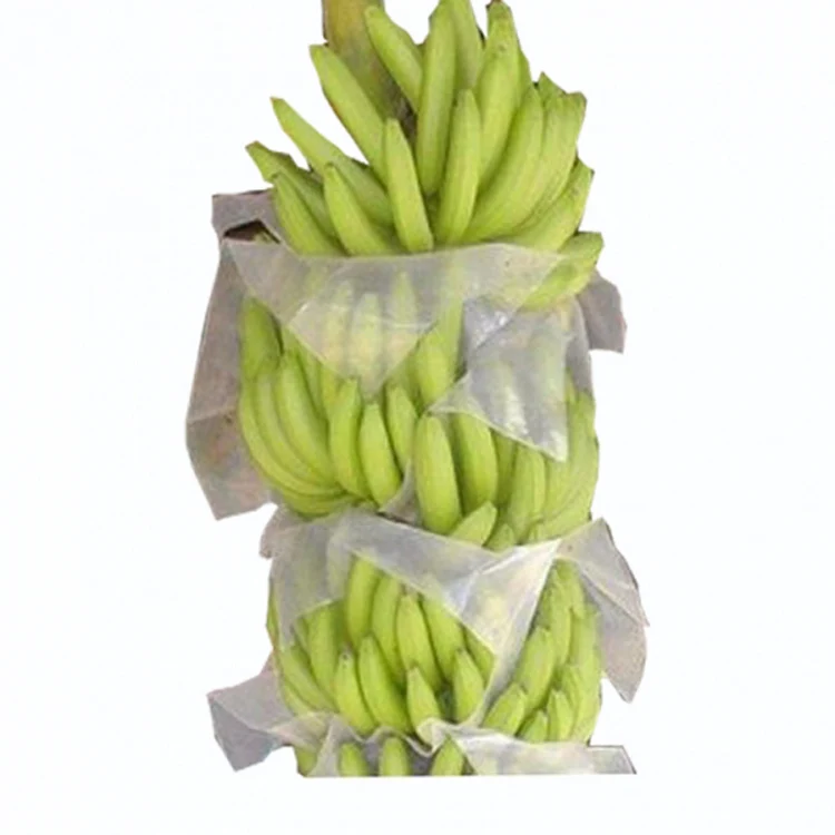 Tropical Fruits 2.6ft x 3ft 2.6ft x 5ft Insect proof breathable permeable fruit circular protective bag for banana