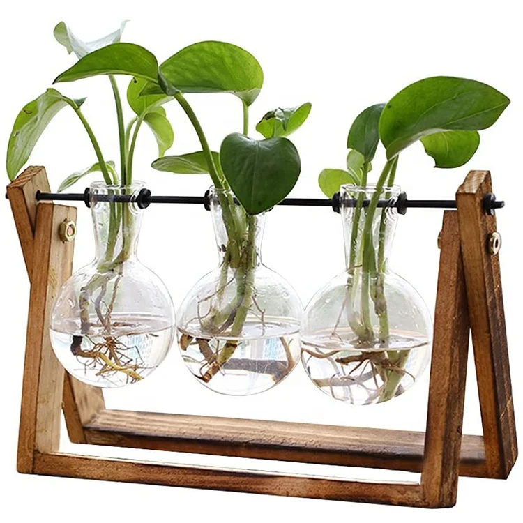 Plant Terrarium with Wooden Stand, Air Planter Bulb Glass Vase Metal Swivel Holder Retro Tabletop