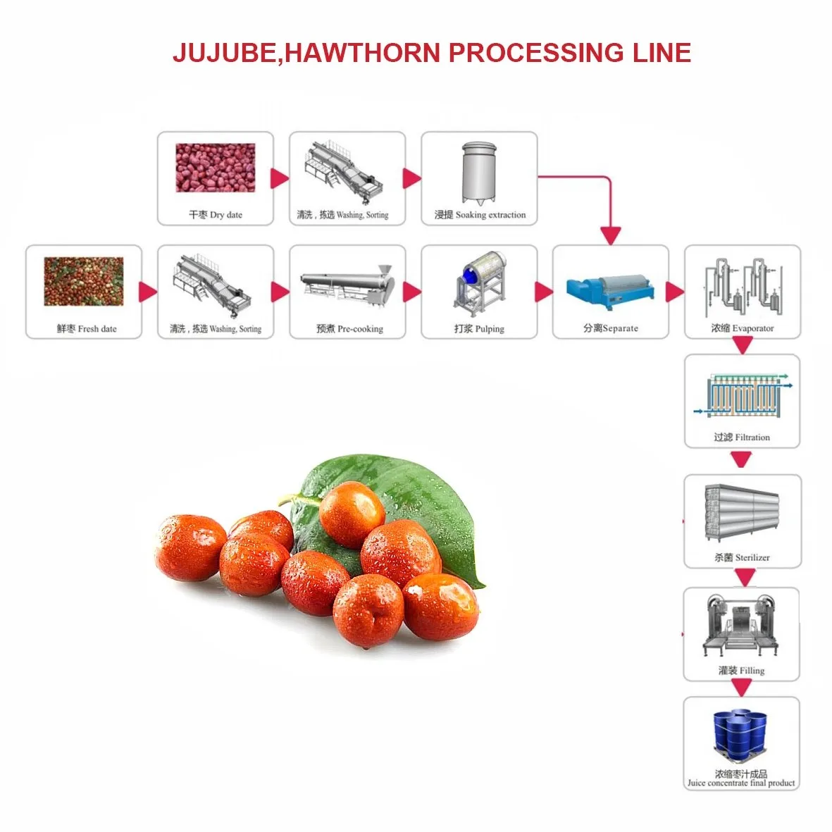 dates processing line