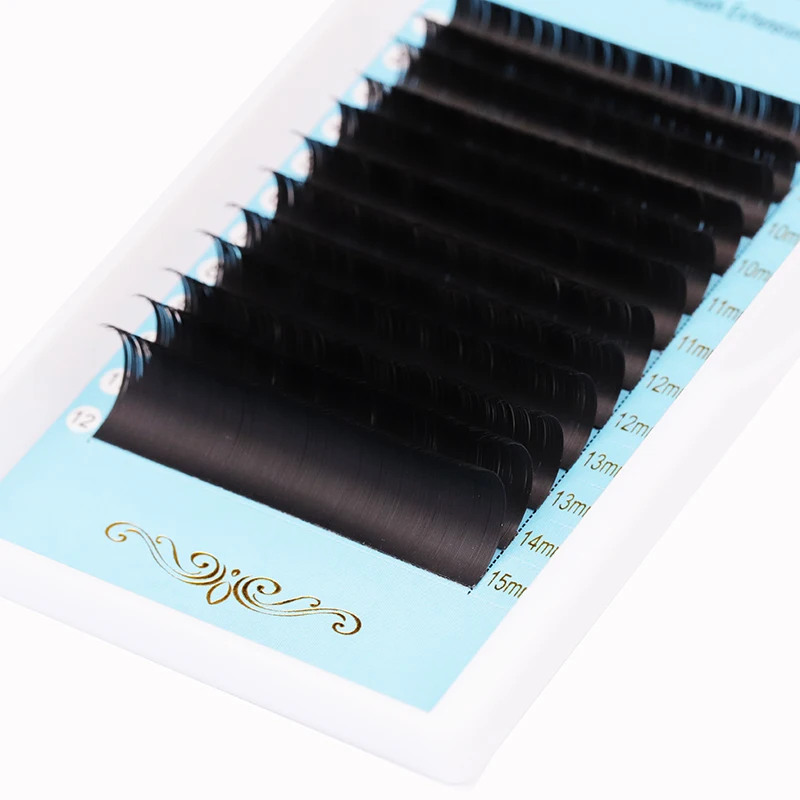 Wholesale Private Label jet black ellipse flat lash extension with custom logo trays classic eyelash extensions