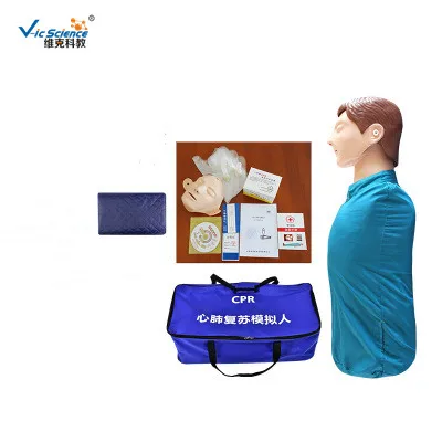 Vic Science взрослая простая модель для тренировки при первой помощи на половину тела