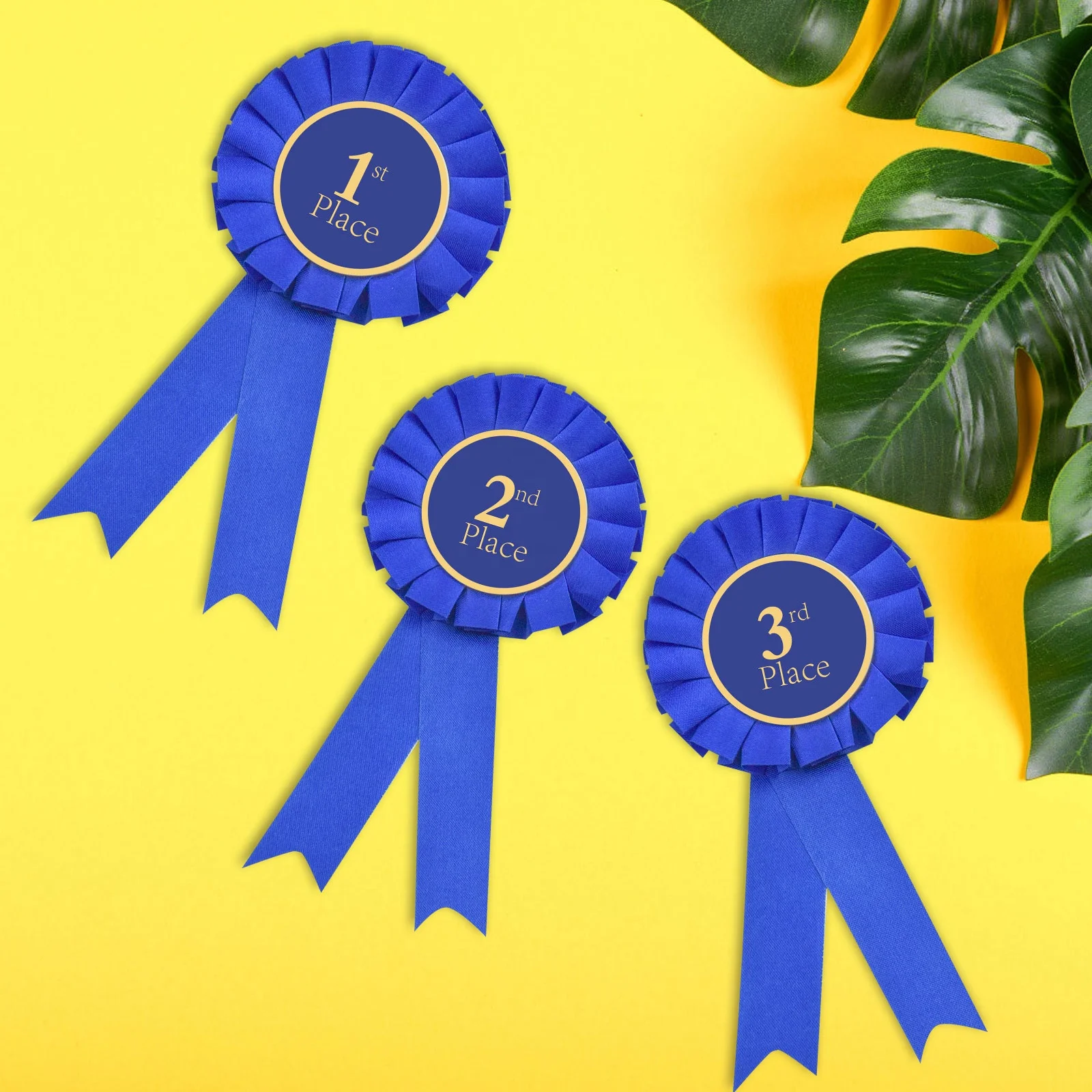 3 Pieces Award Ribbon Rosette Set Satin Participation Ribbon Honorable Ribbon Badge 1st 2nd 3rd Place Medals for Classroom Prize