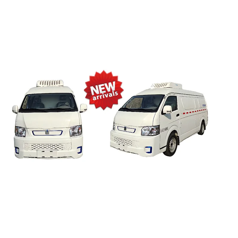New Arrival Customized 2ton Refrigerated Cold Room Van ev van car electric cargo van truck cheap used cars