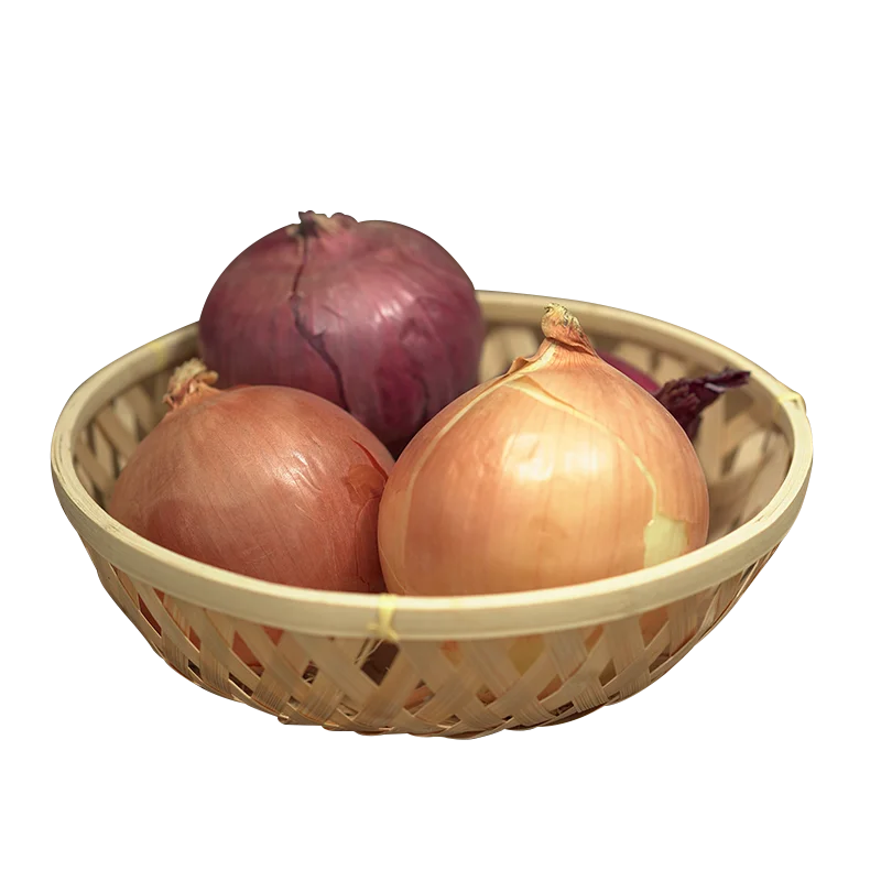 2021 High Quality in Bulk Small Shallot Onion with International Certification