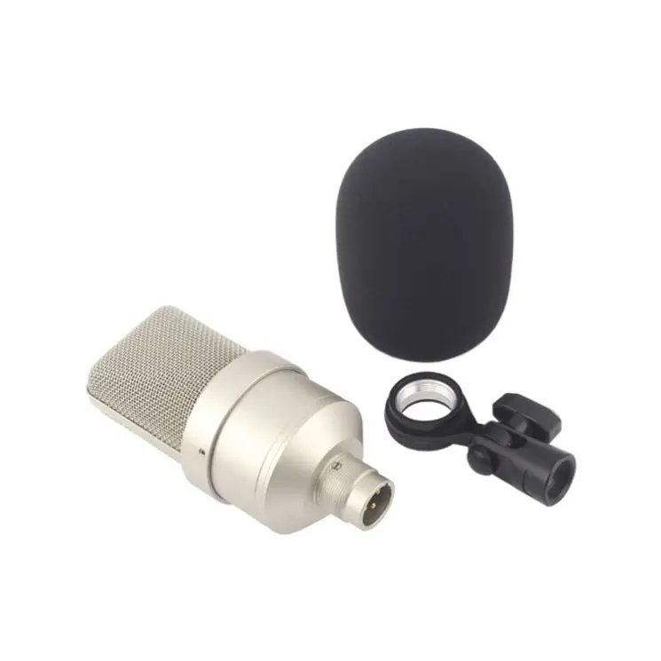 Perfect Sound Mic Condenser For Teaching TLM 103