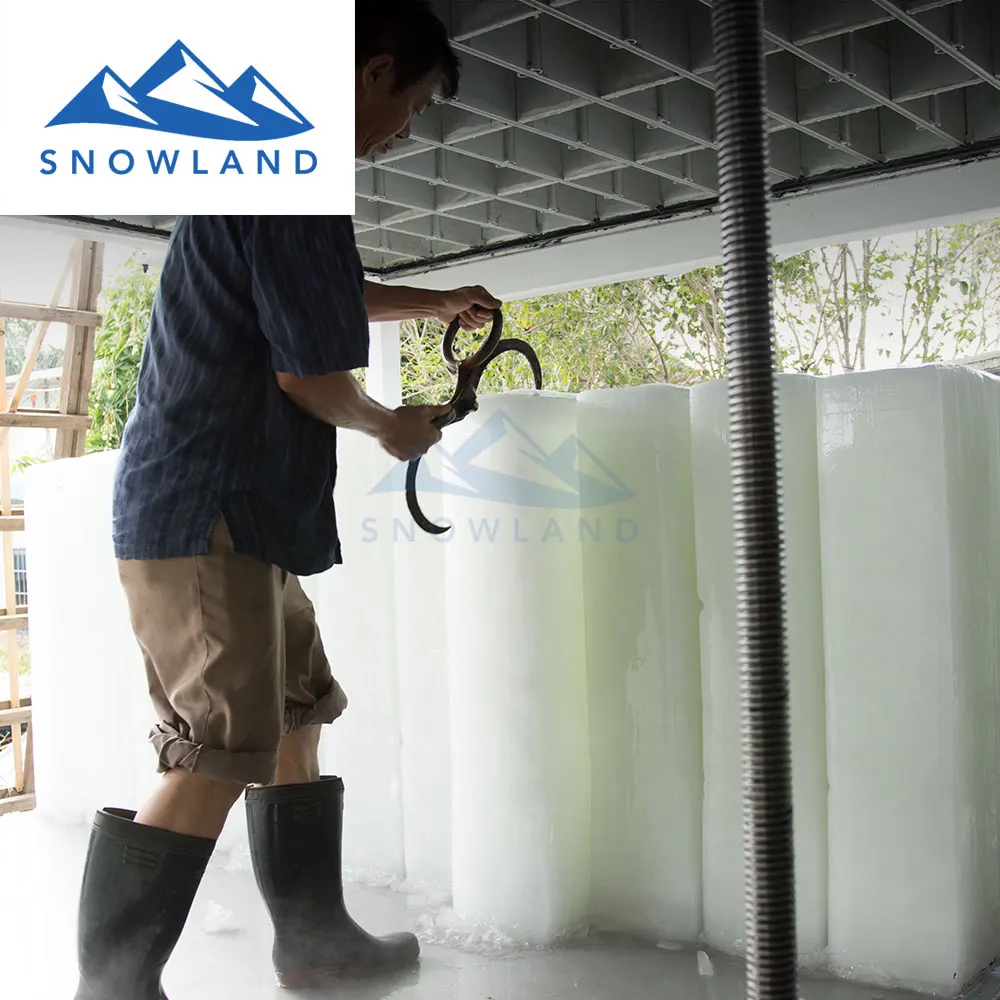 Машина для приготовления льда Египет с 8 тонн блок льда