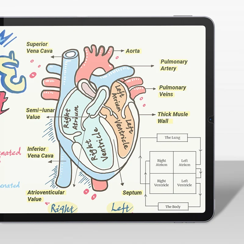 Factory wholesale Matte PET Painting Write Paperlike Film Paper Like Screen Protector For iPad pro 11 mini6 air 12.9