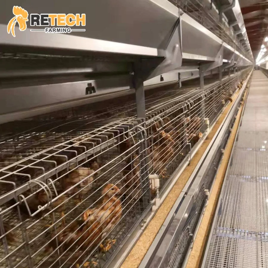 Poultry Farm Equipment Hot Dipped Galvanized a Type 3 Tiers Pullet Layer Rearing Chicks Chicken Cage for Sale