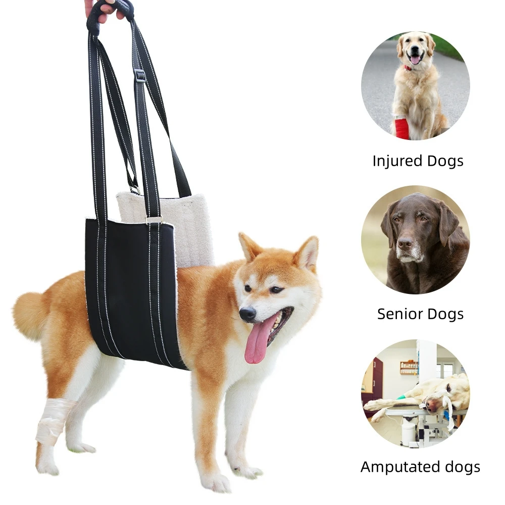 Kingtale Dog Sling for Large Dogs Hind Leg Durable Support Dog Lifting Harness Pet Travel Best Seller Black Belt
