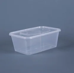 750ml disposable plastic rectangular take away fast food container packaging box