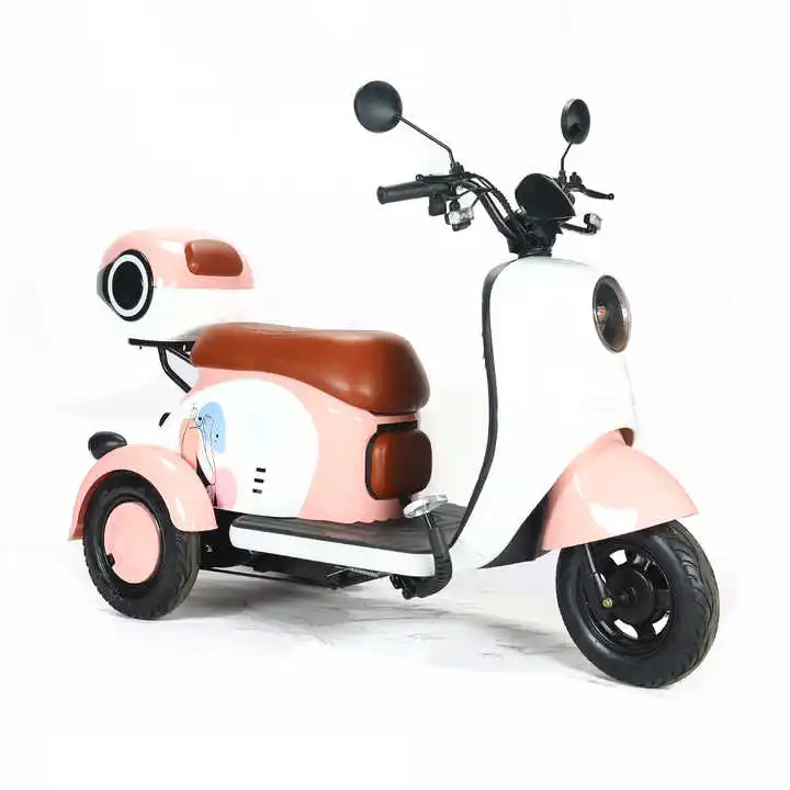 Factory Export Hot Selling 650W/800W Electric Steel 3-Wheel Passenger Tricycle Central Motor Customized E-Tricycle 48V Voltage
