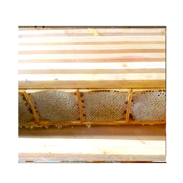 Natural Bulk Bee Pollen Wholesale Bee Flower Pollen Organic Raw Material Pure Natural Honey Bee Pollen