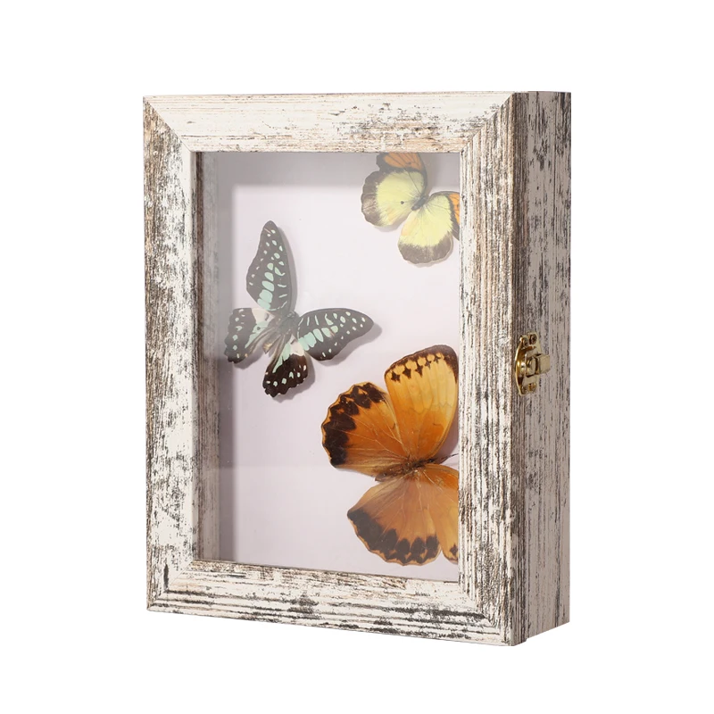 Butterfly Taxidermy Shadow Boxes Rustic White 3D Butterfly Shadow Box Frames With Three Insect Pins Butterfly Specimen Frames