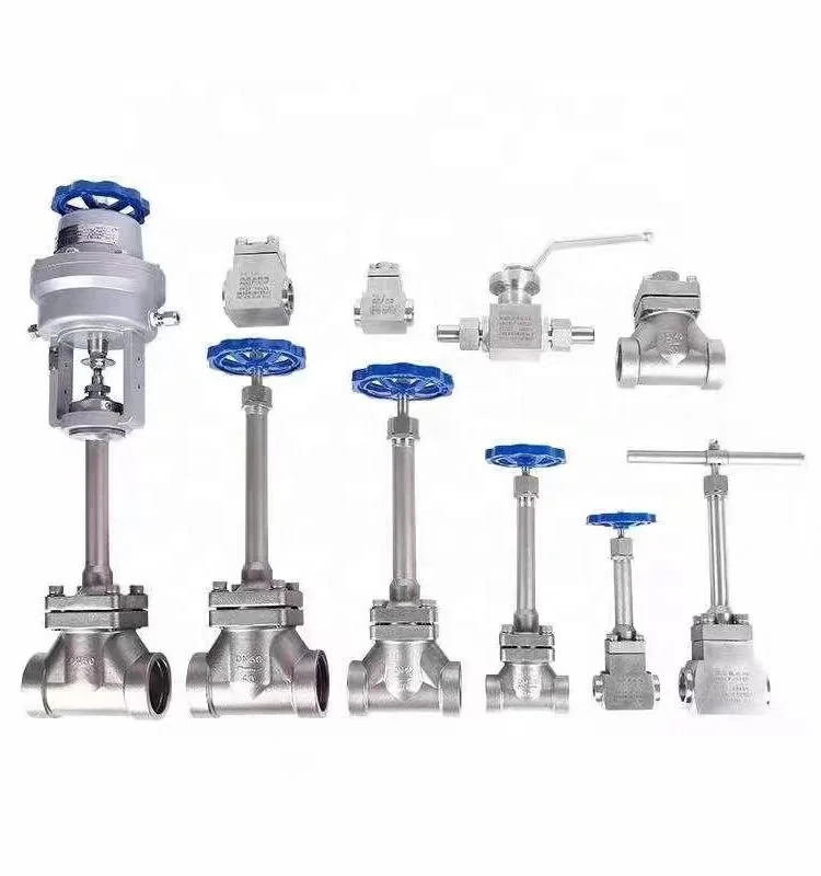 stainless steel socket weld dn50 LPG cryogenic flange check valve for gas vessel