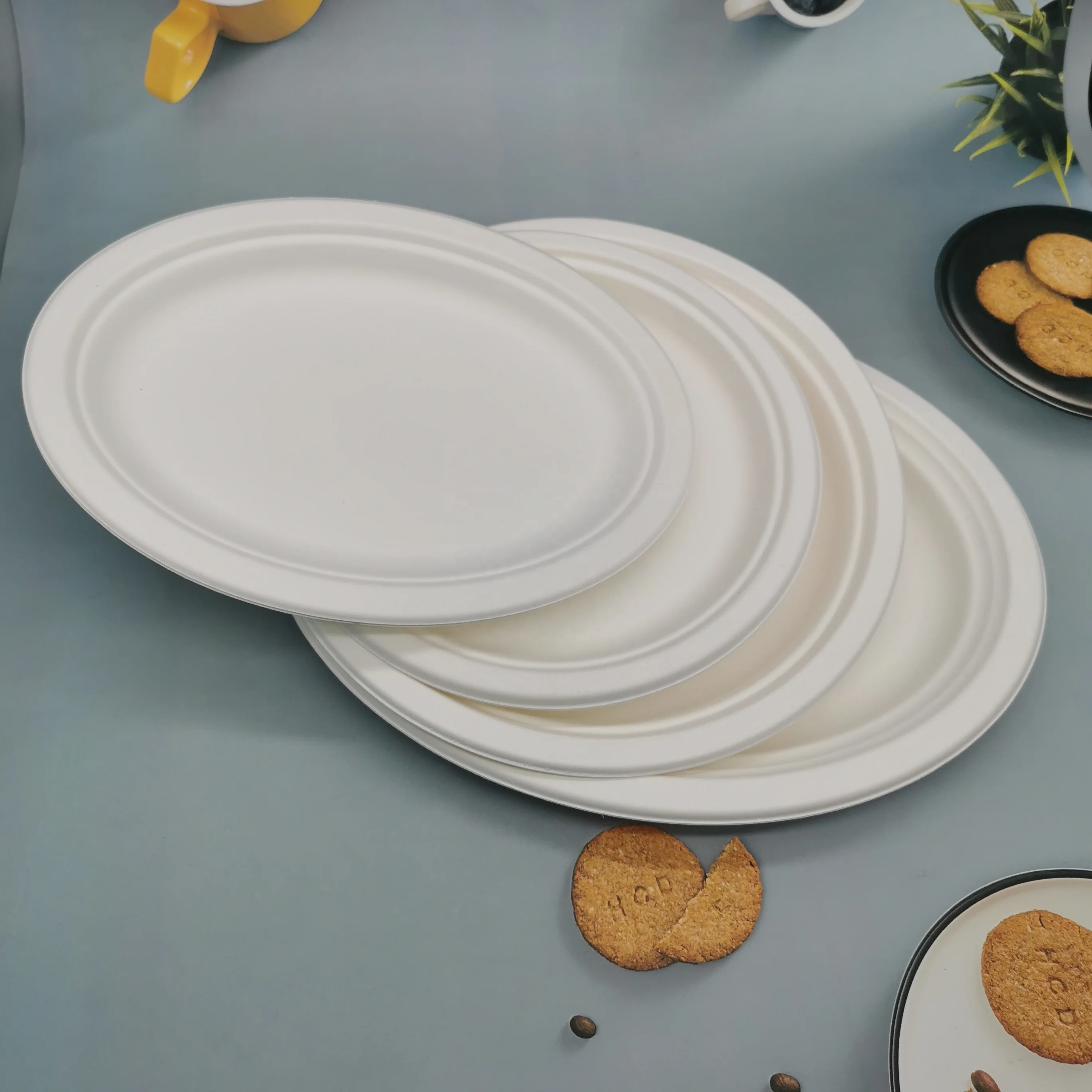 Natural Renewable Bagasse Tableware 100% Compostable Sugar Cane Bagasse Pulp Oval Shape Dishes Plates