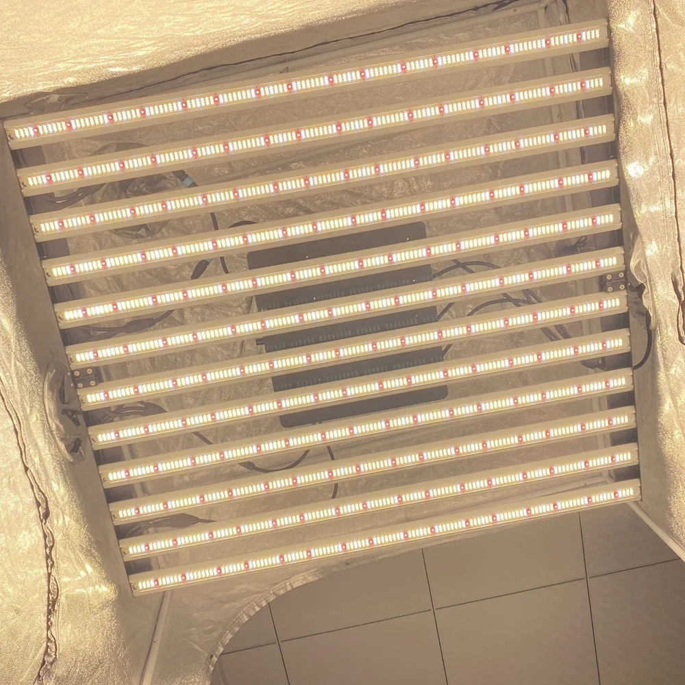 Shenzhen Factory LM301B LM301H 12 Bars 1000W 800W 720W Full Spectrum Led Grow Light