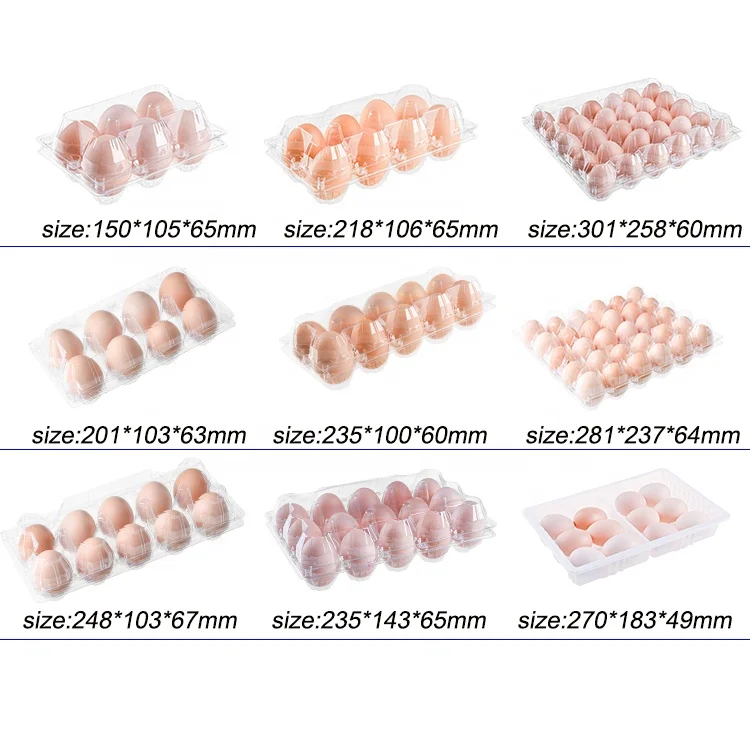 Wholesale Cheap Disposable Transparent Plastic Egg Tray