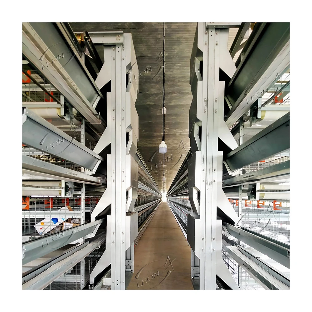 Low Price Wholesale H Type 10000 Layer Brooder Chickens Cage Farms Outdoor Bird Egg Chicken Laying Cages For Zimbabwe Poultry