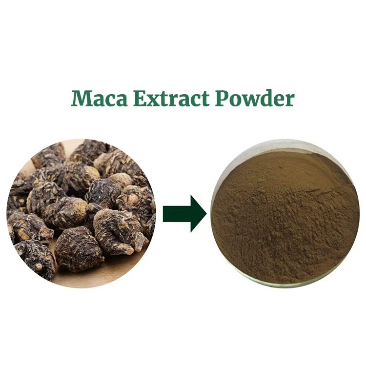 New Product 2023 Popular 10:1 Original Health Food Maca Root Extract Powder Black Maca Root Powder