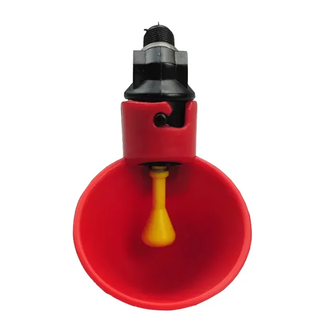 Automatic birds drinker chicken pigeon drinking bowl quail  water drinker with cup