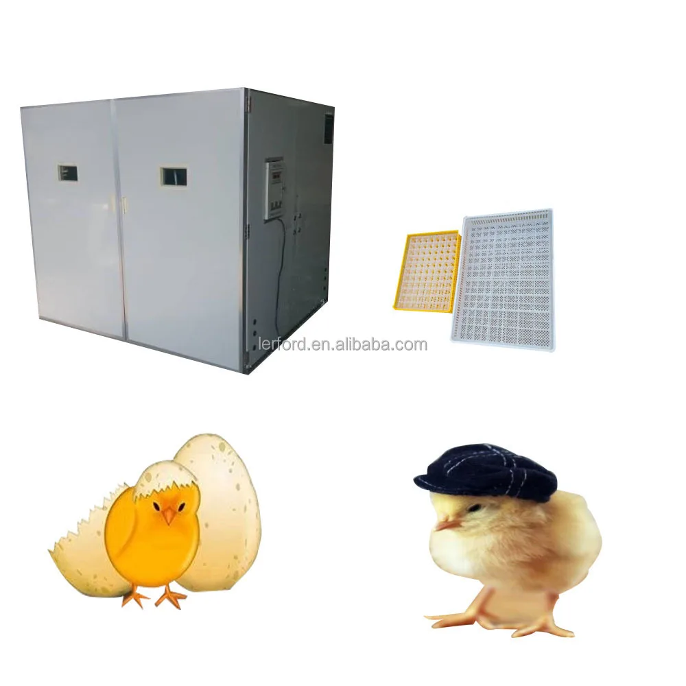 With Solar Power Panel And Battery Mini Solar Eggs Incubators Hatching Eggs Solar Powered