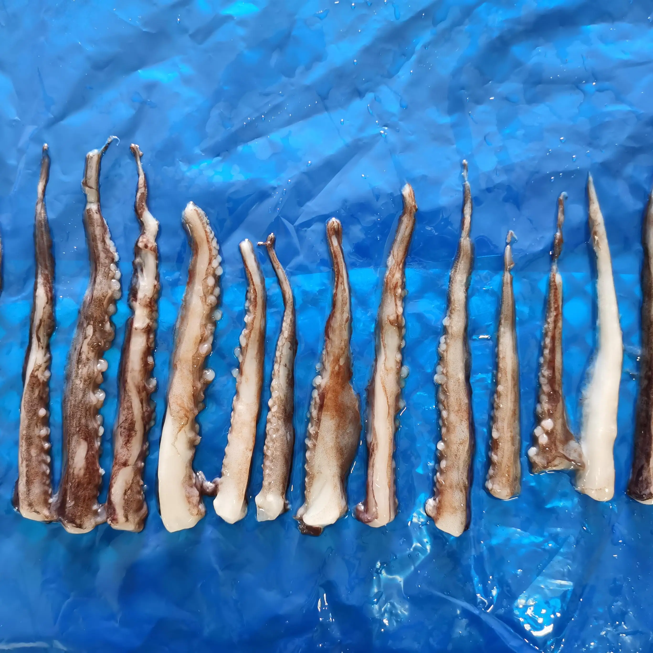 
Japan Shop Seafood Fresh Wholesale Seafood Prices Russian Seafood Suppliers 