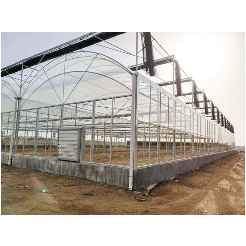 china greenhouse with low price