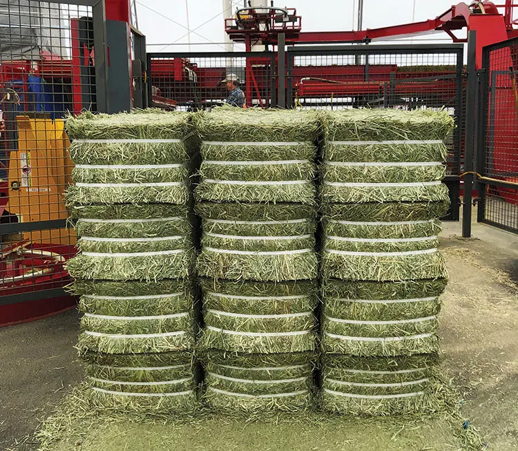 Top Quality Alfafa Hay for Animal Feeding Stuff Alfalfa / Timothy / Alfalfa.
